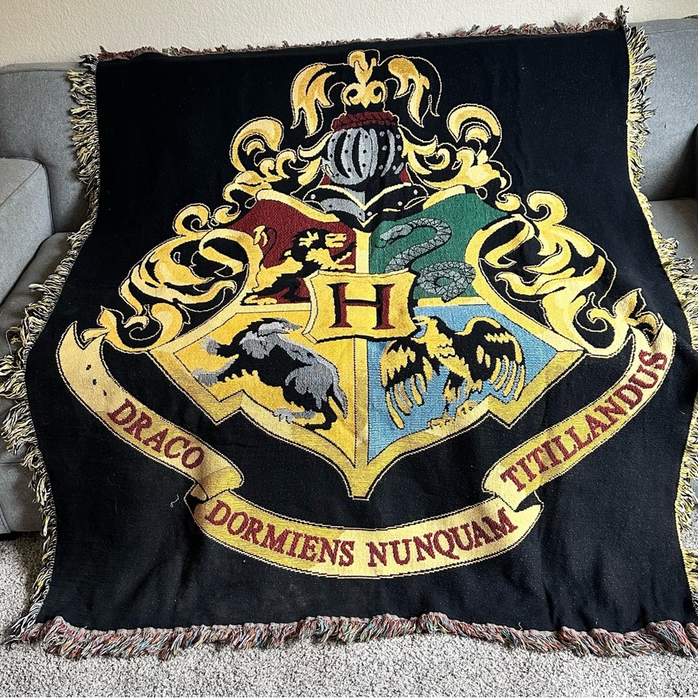 Warner Bros. Multicolor Woven Blanket
